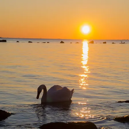 아파트 Im Haus Brandenburg *