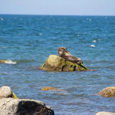 Im Haus Brandenburg Daire Goehren (Ruegen)