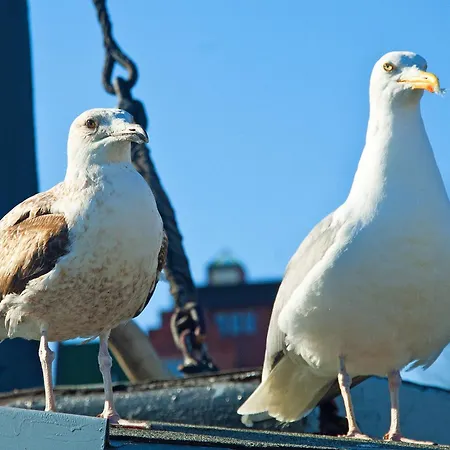 Daire Im Haus Brandenburg