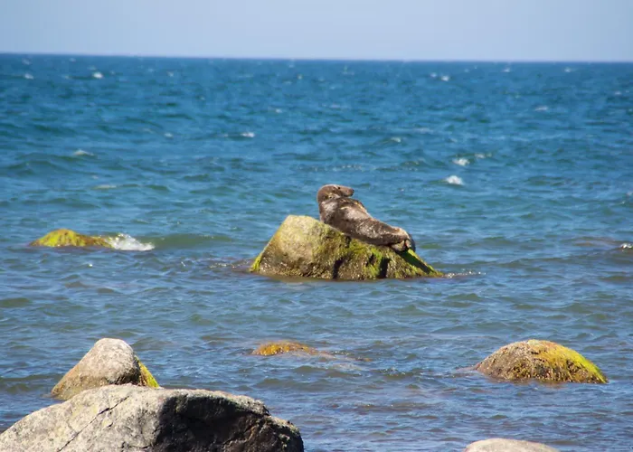 Im Haus Brandenburg Appartamento Goehren (Ruegen)