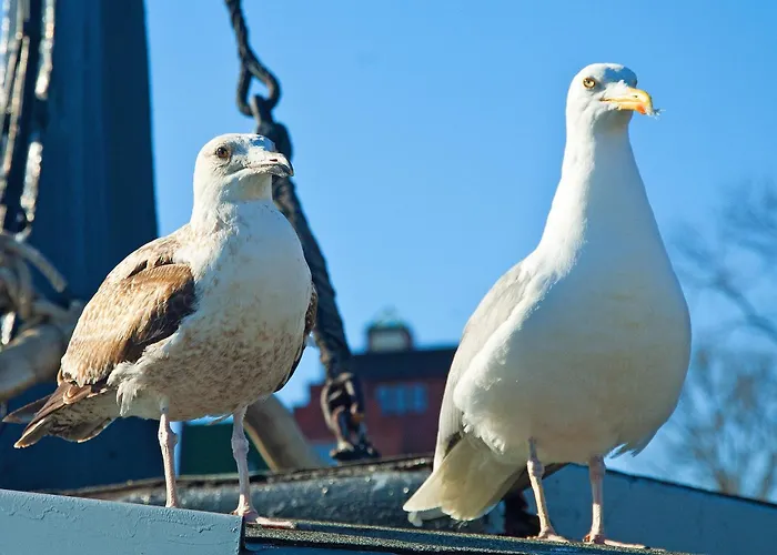 Appartamento Im Haus Brandenburg